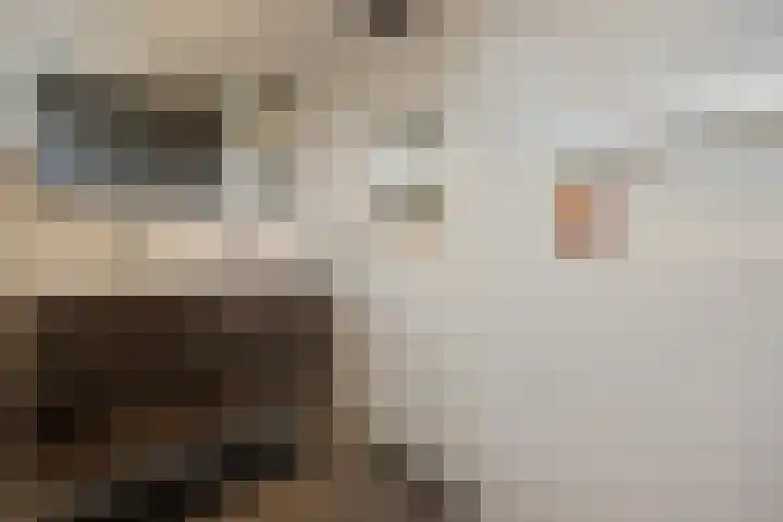 de Haar 1 Raalte thumbnail 31