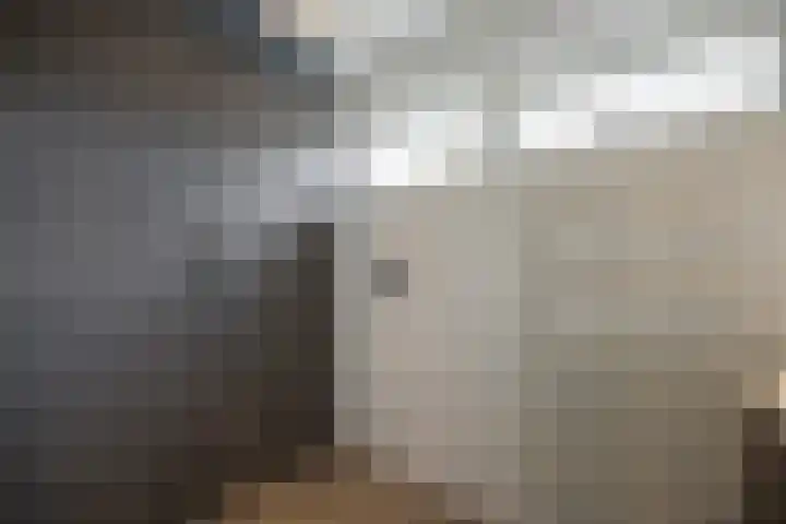 de Haar 1 Raalte thumbnail 32