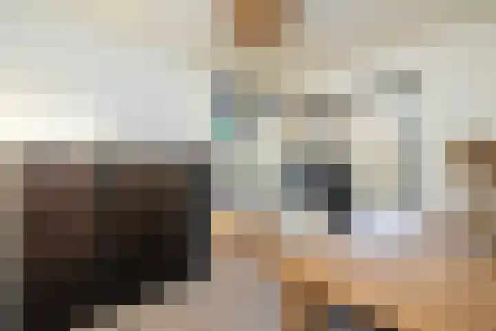 de Haar 1 Raalte thumbnail 35