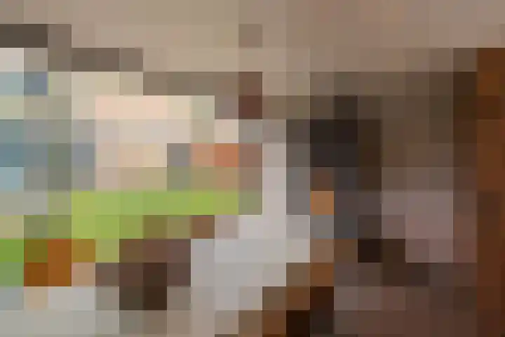 de Haar 1 Raalte thumbnail 42