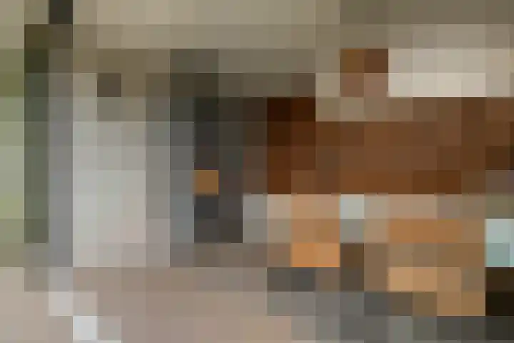 de Haar 1 Raalte thumbnail 44