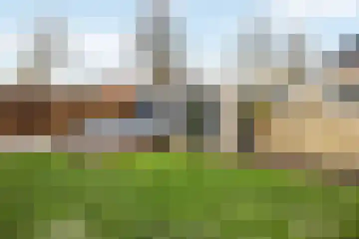 de Haar 1 Raalte thumbnail 45