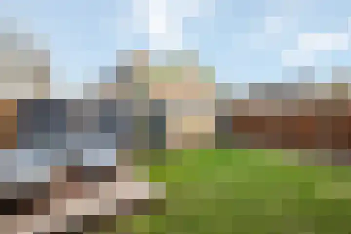 de Haar 1 Raalte thumbnail 46