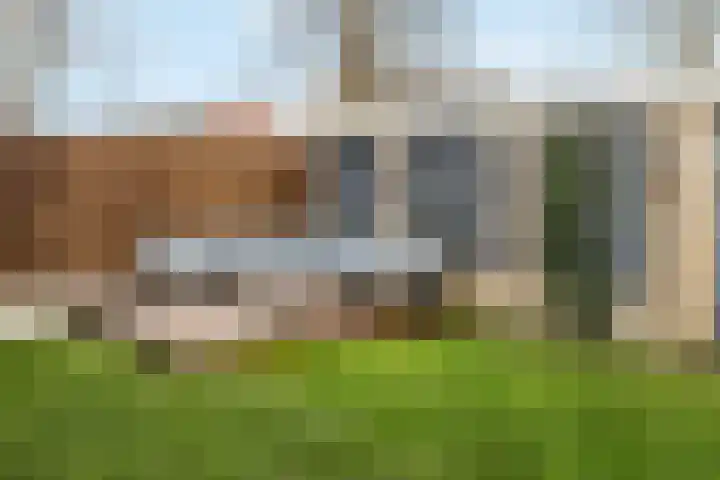 de Haar 1 Raalte thumbnail 47