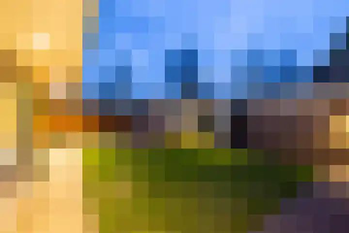de Haar 1 Raalte thumbnail 50