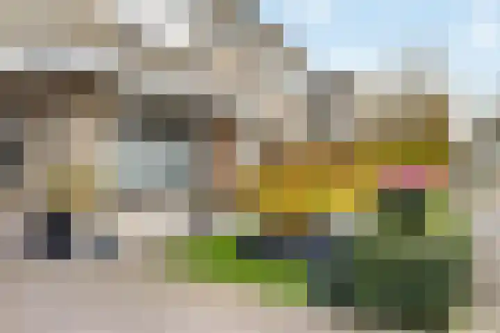 de Haar 1 Raalte thumbnail 8