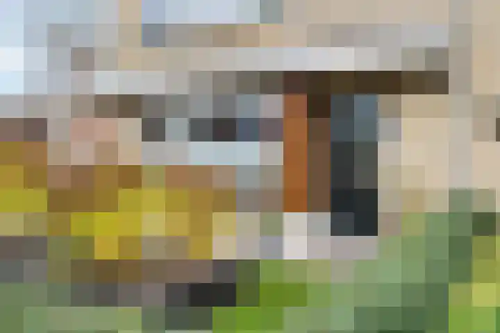 de Haar 1 Raalte thumbnail 9