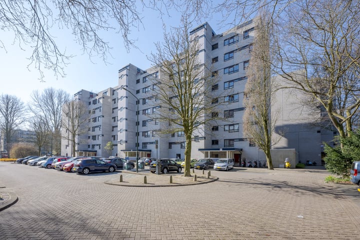 De Haar 118 in Leidschendam foto