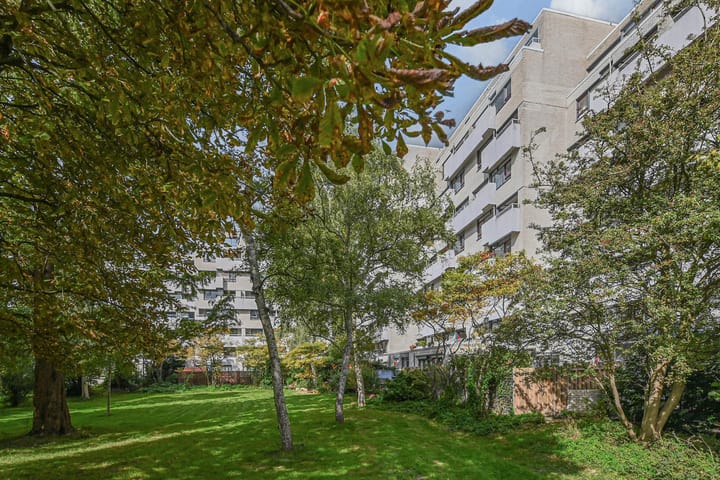 De Haar 129 in Leidschendam foto