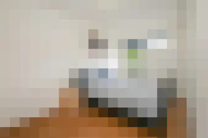 De Haar 129 Leidschendam thumbnail 28
