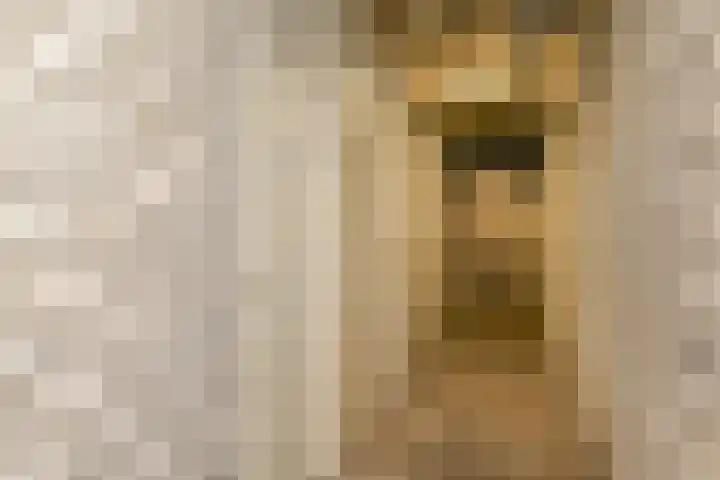 De Haar 129 Leidschendam thumbnail 45
