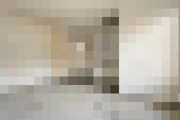 De Haar 4 R40 Balkbrug thumbnail 13