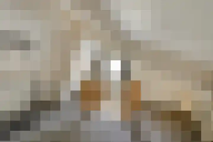 De Haar 4 R40 Balkbrug thumbnail 18