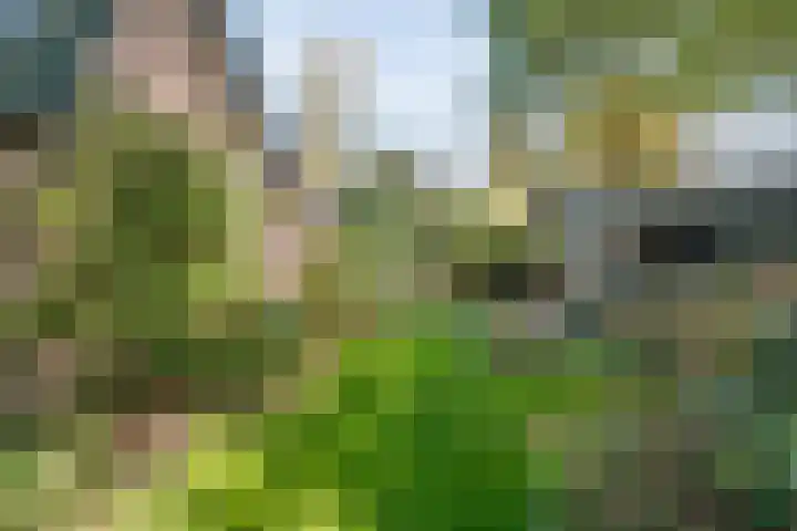 De Haar 4 R40 Balkbrug thumbnail 21