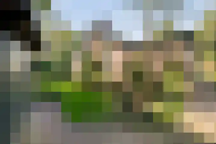 De Haar 4 R40 Balkbrug thumbnail 22