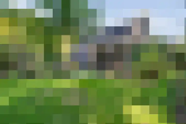 De Haar 4 R40 Balkbrug thumbnail 23
