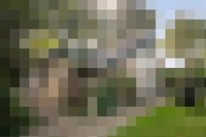 De Haar 4 R40 Balkbrug thumbnail 26