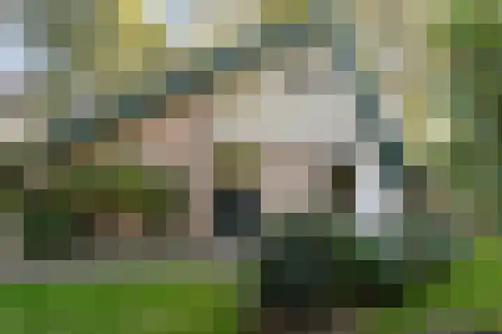 De Haar 4 R40 Balkbrug thumbnail 31