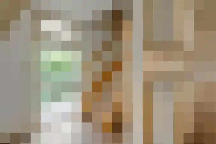De Haar 4 R40 Balkbrug thumbnail 5