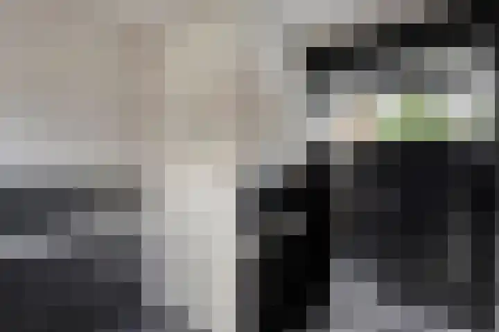 De Haar 4 R8 Balkbrug thumbnail 6