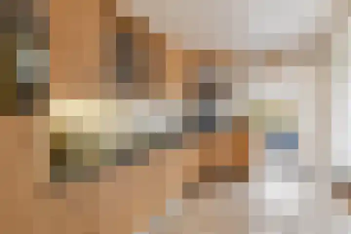 de Haar 55 Raalte thumbnail 13