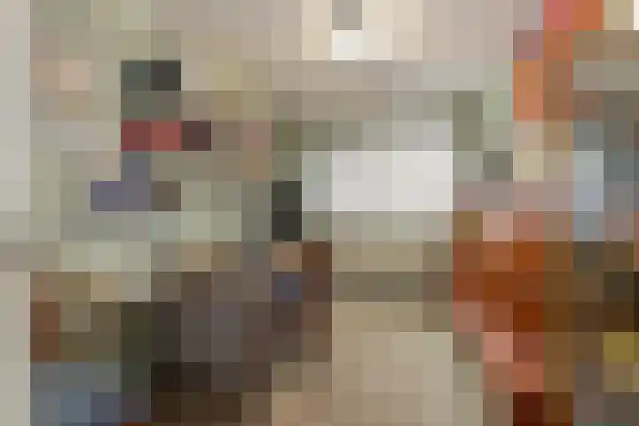 de Haar 55 Raalte thumbnail 21