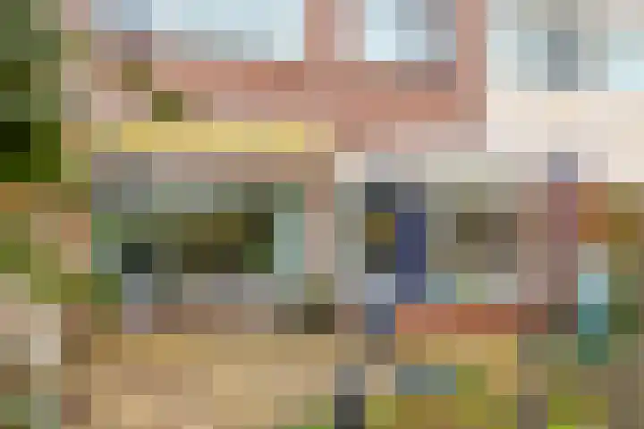 de Haar 55 Raalte thumbnail 33