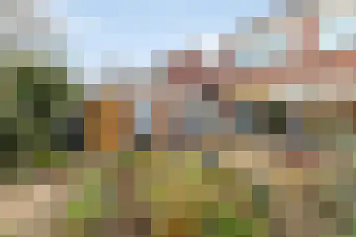 de Haar 55 Raalte thumbnail 34