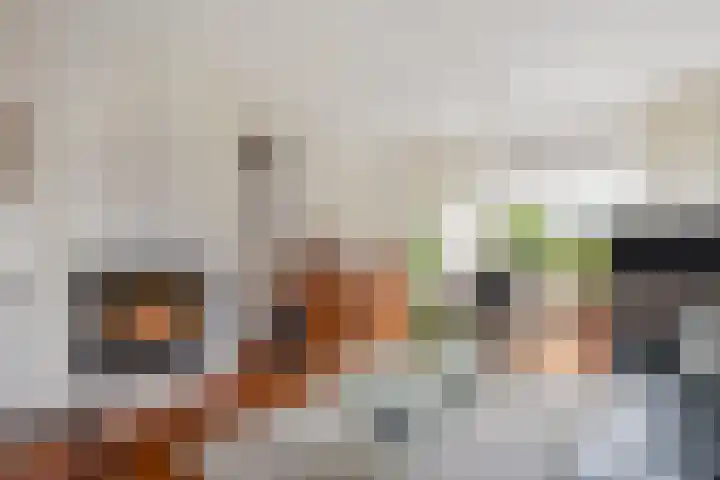 de Haar 55 Raalte thumbnail 5