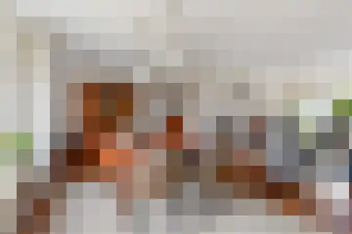 de Haar 55 Raalte thumbnail 8