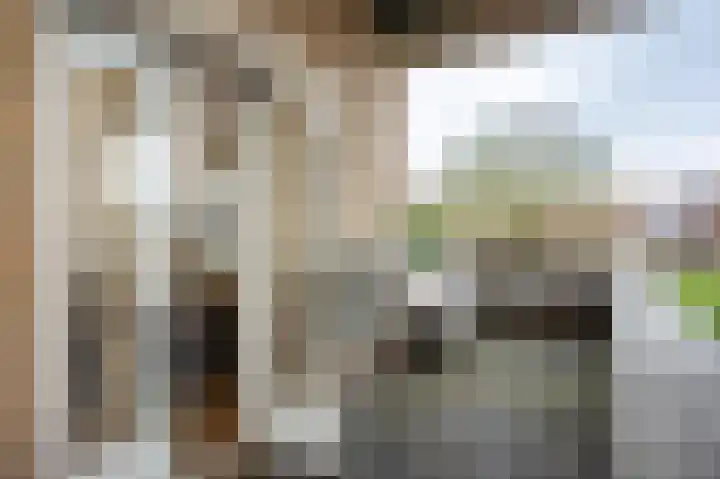 De Haarhamer 43 Groesbeek thumbnail 18