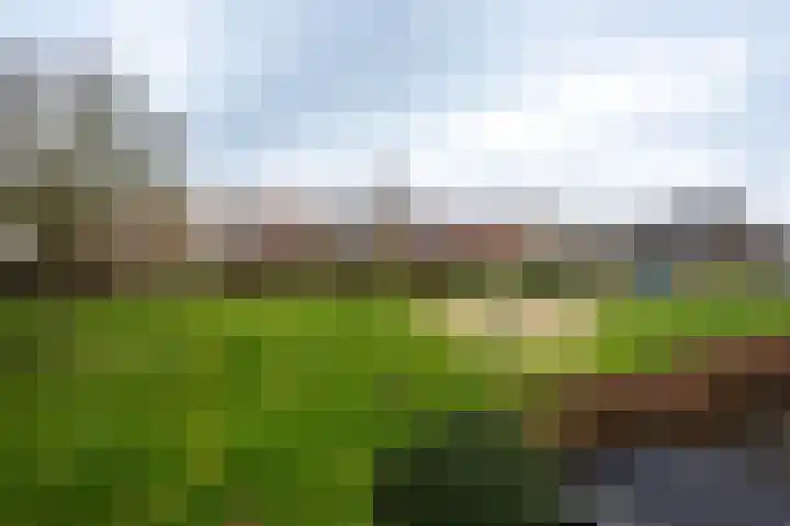 De Haarhamer 43 Groesbeek thumbnail 19