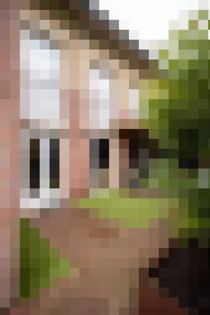 De Haarhamer 43 Groesbeek thumbnail 34