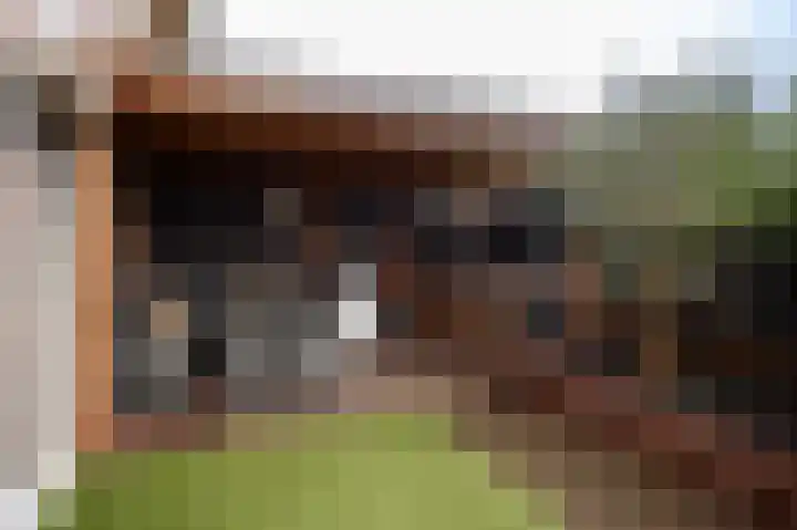 De Haarhamer 43 Groesbeek thumbnail 35
