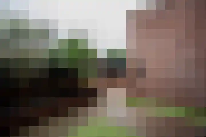 De Haarhamer 43 Groesbeek thumbnail 38