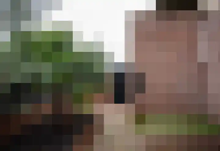 De Haarhamer 43 Groesbeek thumbnail 39