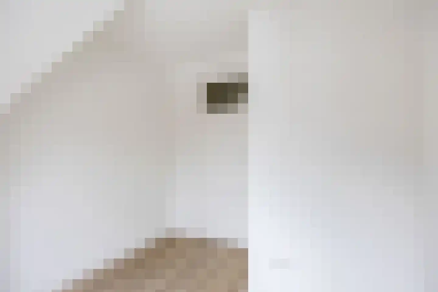 De Haas Okkenstraat 18 Appingedam thumbnail 30