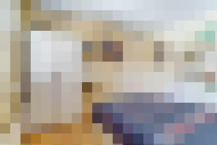De Haecken 52 Bladel thumbnail 22