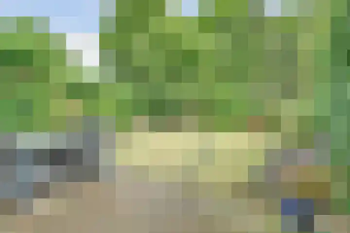 De Haecken 52 Bladel thumbnail 33