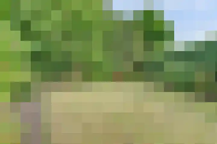 De Haecken 52 Bladel thumbnail 34