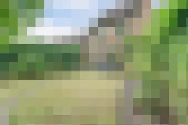 De Haecken 52 Bladel thumbnail 36