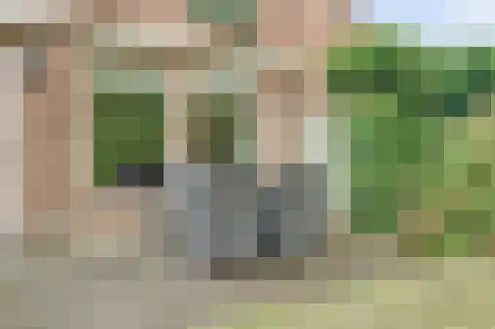 De Haecken 52 Bladel thumbnail 38