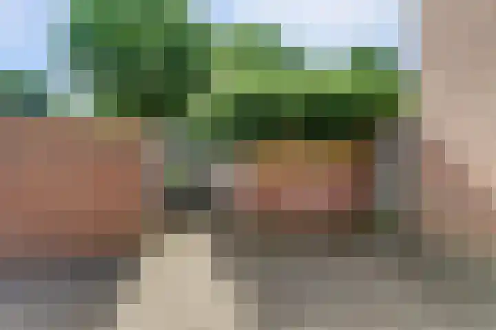 De Haecken 52 Bladel thumbnail 42