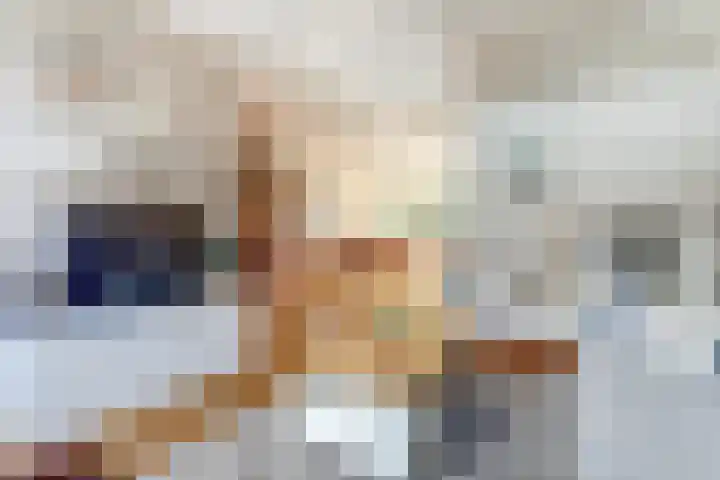 De Haecken 52 Bladel thumbnail 6