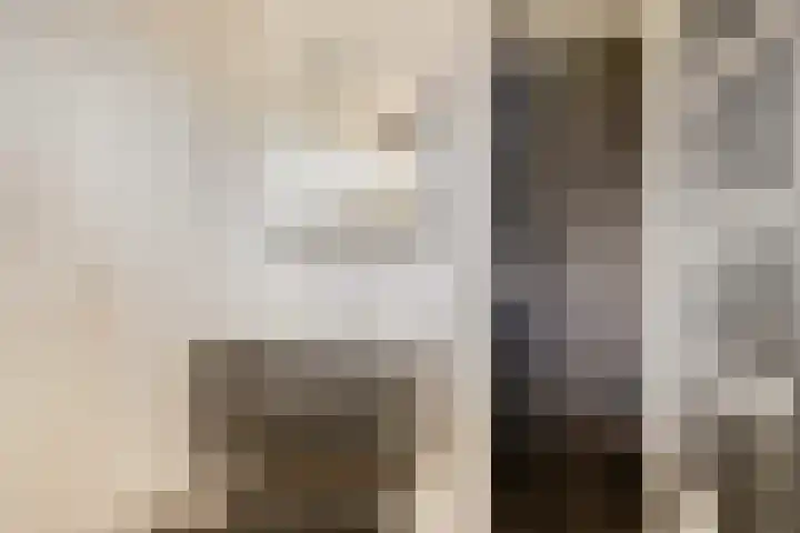 De Haer 6 Oosterwolde thumbnail 22