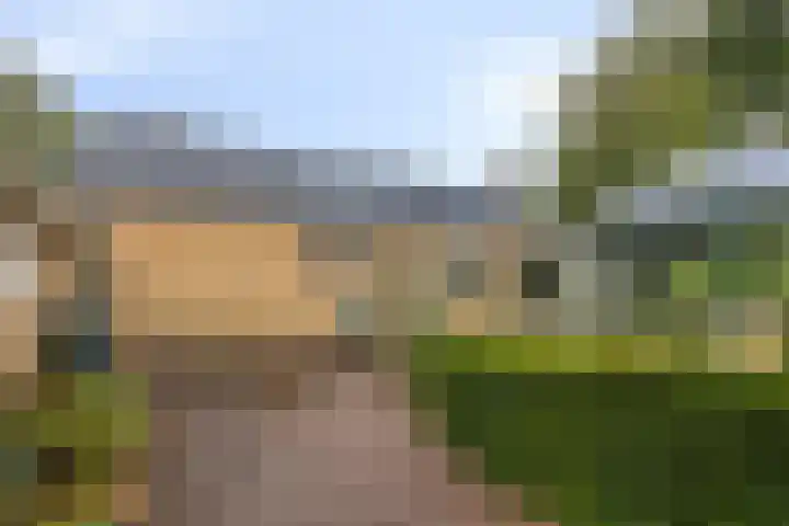 De Haer 6 Oosterwolde thumbnail 31