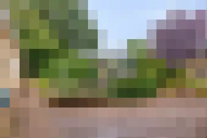 De Haer 6 Oosterwolde thumbnail 33