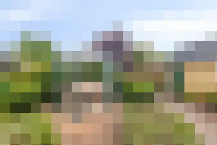 De Haer 6 Oosterwolde thumbnail 34