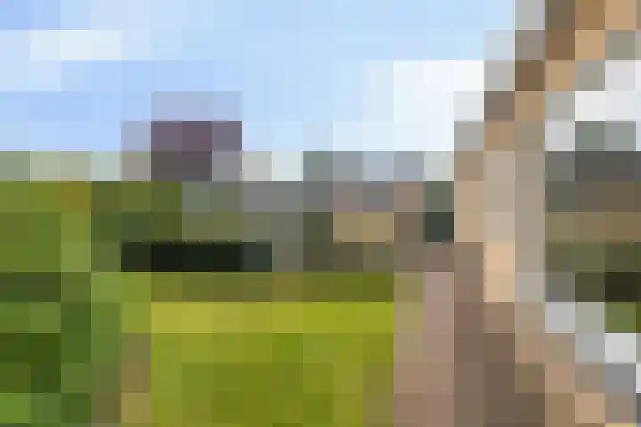 De Haer 6 Oosterwolde thumbnail 6