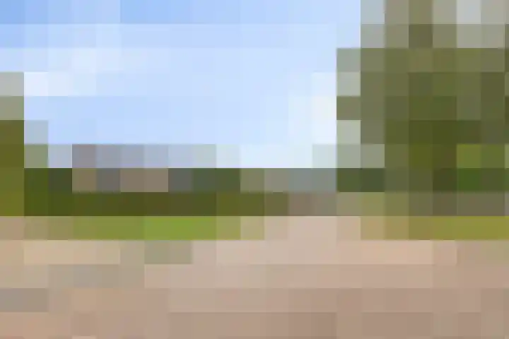 De Haer 6 Oosterwolde thumbnail 8